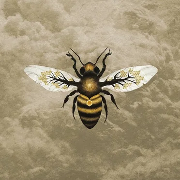 Medicine by Bees Made Honey in the Vein Tree - album cover