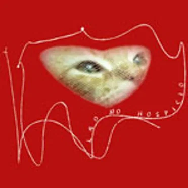Lao No Hospicio by Liz - album cover