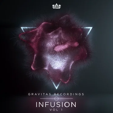Infusion Vol. 1 by Gravitas Recordings - album cover