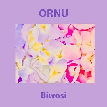 Biwosi