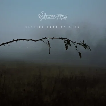 Nothing Left to Burn by Shores of Null - album cover