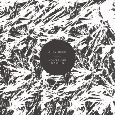 You’re Out Wasting by Andy Shauf - album cover