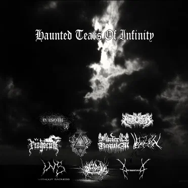 Haunted Tears of Infinity by Various Artists - album cover