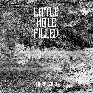 Trippozoid