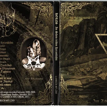 Im Schein trüben Kerzenlichts by Horns - album cover