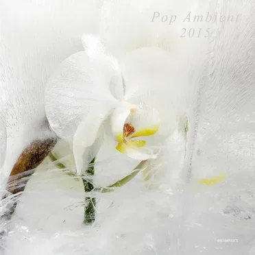 Pop Ambient 2015 by Various Artists - album cover