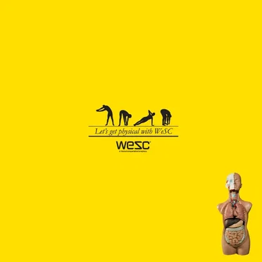 WeSC: Let's Get Physical by Various Artists - album cover
