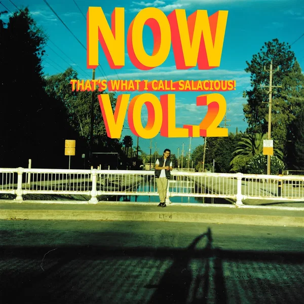 Now That's What I Call Salacious! Vol. 2