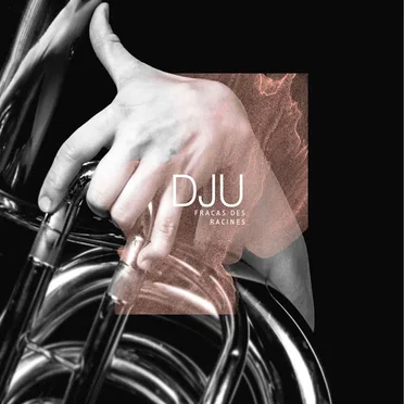 Fracas des racines by Dju - album cover