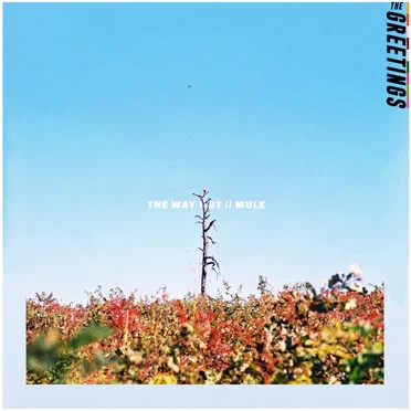 The Way Out // Mule by The Greetings - album cover