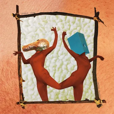 Furniture Pedagogue by Tomber Lever - album cover