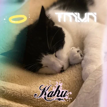 Kahu by The Most Vivid Nightmares - album cover