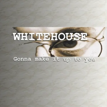 Gonna Make It Up to You by Whitehouse - album cover