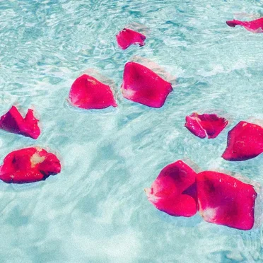 Les Tuileries by Poppy Moukoukenoff - album cover