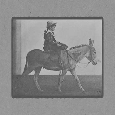 A Clothed Girl Riding a Saddled Ass