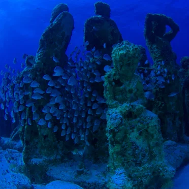 Once Earth Is Full, Humans Will Walk Beneath the Cold Seas by Deaf Orchestra - album cover