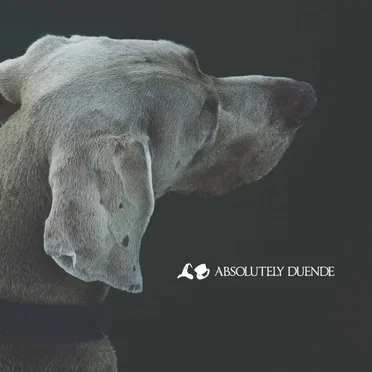Absolutely Duende by Duende - album cover