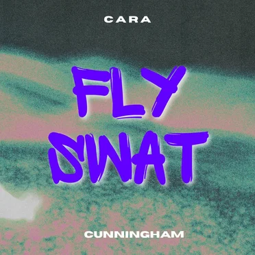 Fly Swat