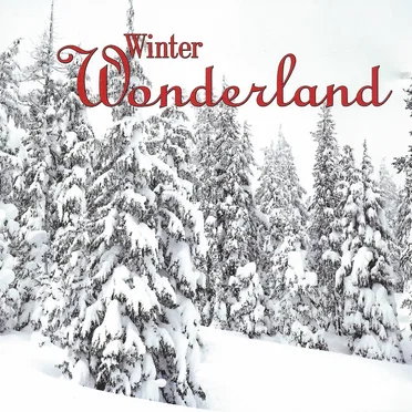 Winter Wonderland by Various Artists - album cover