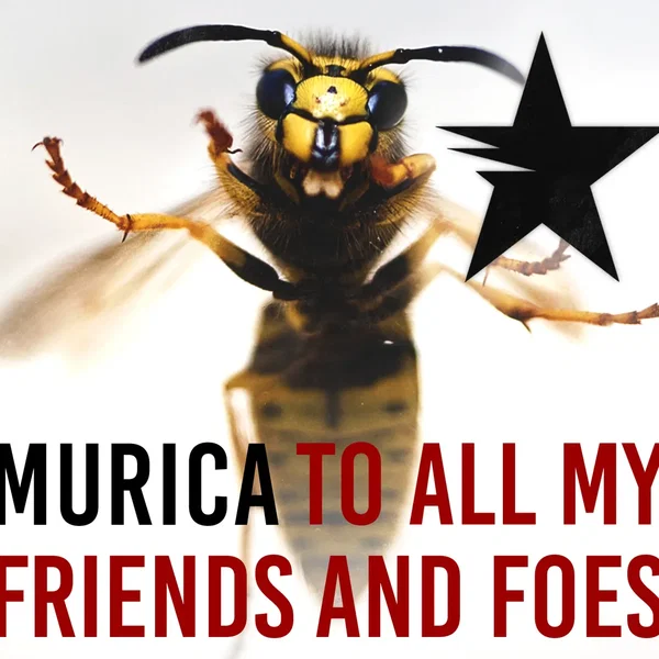 To All My Friends and Foes