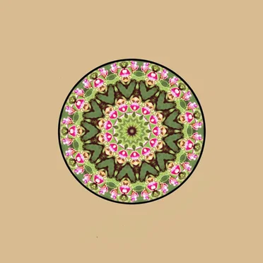 Kaleidoscopes