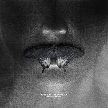 Cold World (Mooij remix)