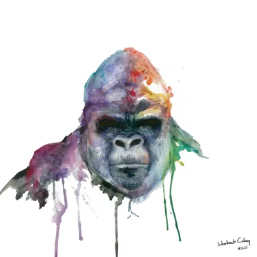 ... Sounds Like Silverback Colony: a North Country sountrack by Silverback Colony - album cover
