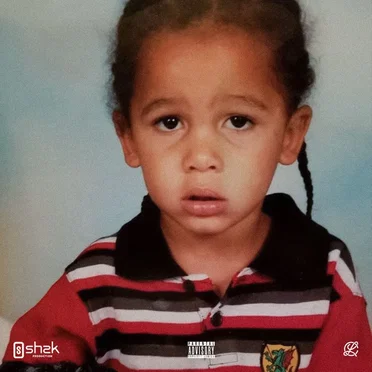 Young N*gga Shit by Slime Dollaz - album cover