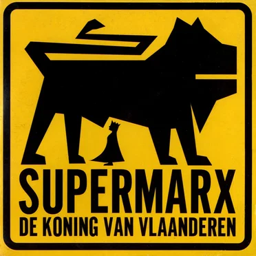 De Koning van Vlaanderen