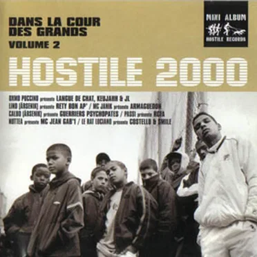 Hostile 2000 : Dans la cour des grands, Volume 2 by Various Artists - album cover