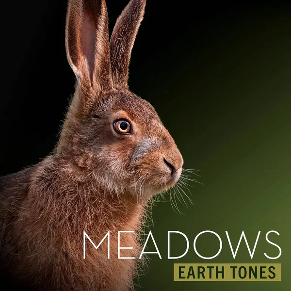 Meadows