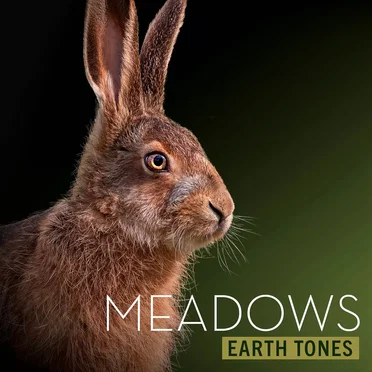 Meadows