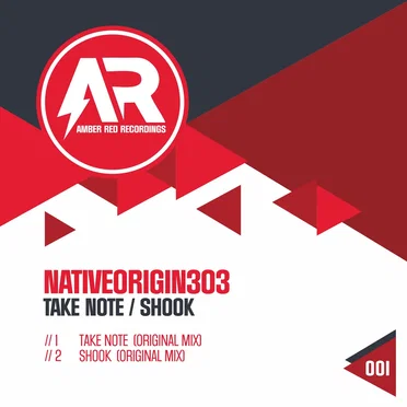 Take Note / Shook by NativeOrigin303 - album cover