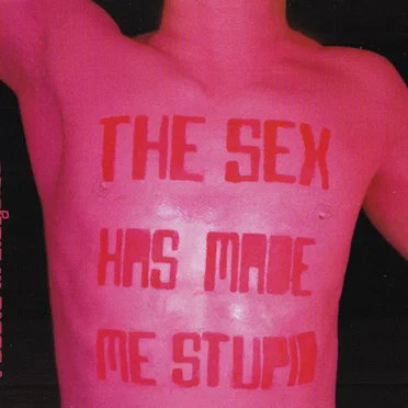 The Sex Has Made Me Stupid