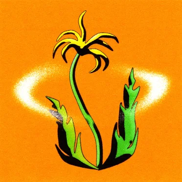 New Plant