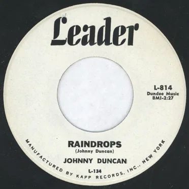 Raindrops