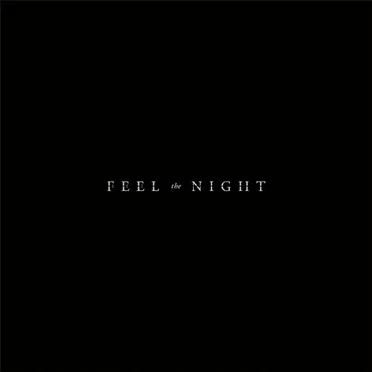 Feel the Night