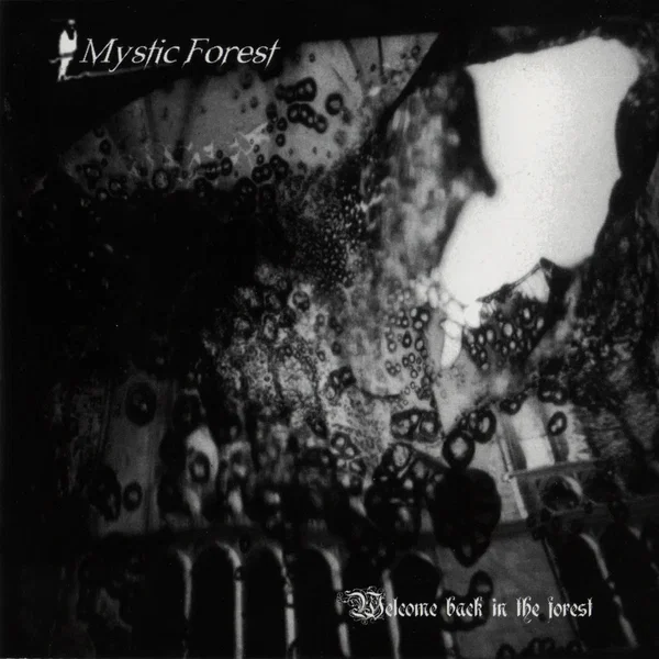 Welcome Back in the Forest