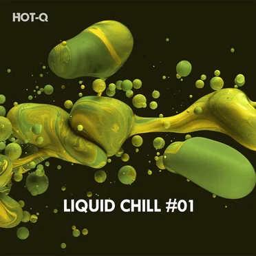 Liquid Chill, Vol. 01 by Various Artists - album cover