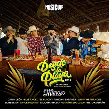 Desde la playa vol. 2 (en vivo)