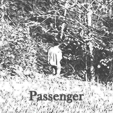Passenger by Tombstone Poetry - album cover