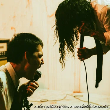 A Clear Picture From a Unreliable Narrator