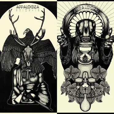 Animalia / Hourglass