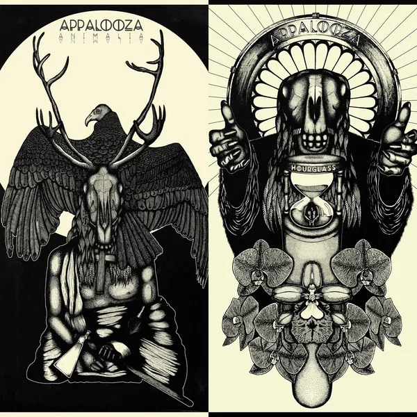 Animalia / Hourglass