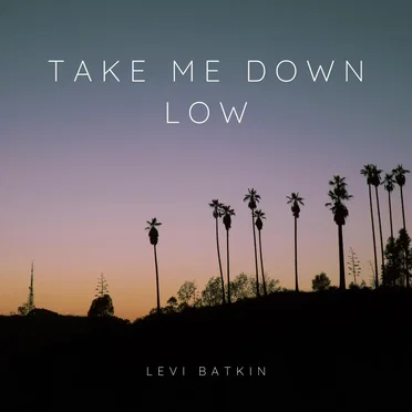Take Me Down Low by Levi Batkin - album cover