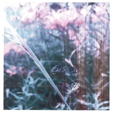 We Didn't Get to the River by felix jupiter - album cover