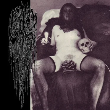 La Veuve Au Vagin Denté