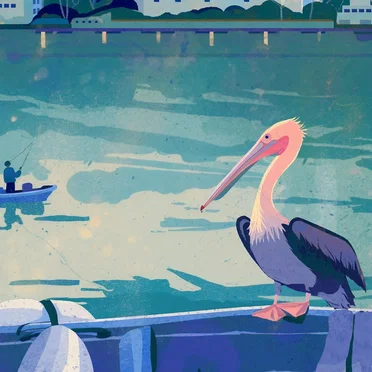 Sponge Dock Pelican by Tarpon Landing Zone - album cover