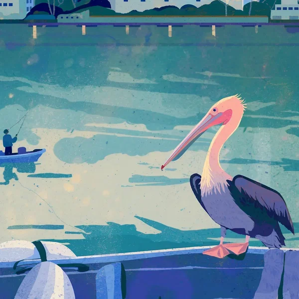 Sponge Dock Pelican