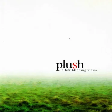 A Few Blinding Views by Plush - album cover